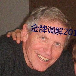 金牌调(diào)解2013