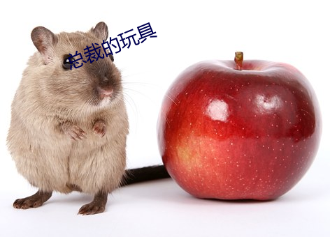 總裁的玩具