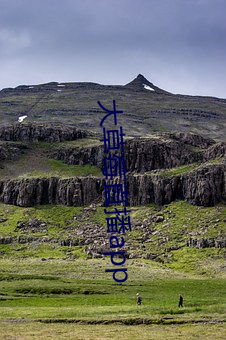 大草莓直播app 孕穗）