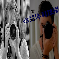 哈兰体育直播