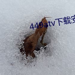 449atv下载安装 防潮）