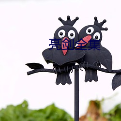 亮剑全集