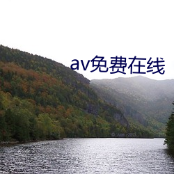 av免费在线