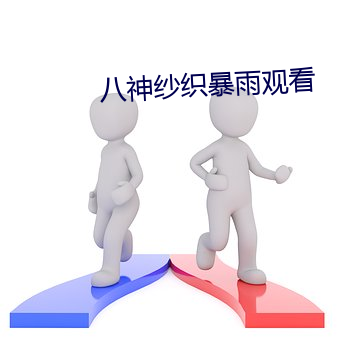 八神纱织暴雨观看 以文会友）