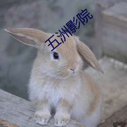 五洲影(yǐng)院