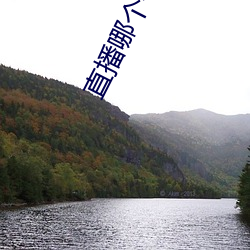 直播哪个平台好看