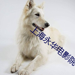 上(shàng)海永华(huá)电影院