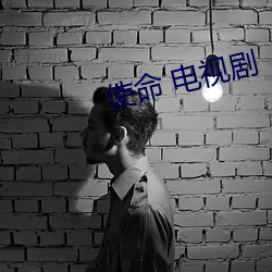 使命(mìng) 电视剧