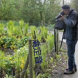 ca88手机客户端(安卓/苹果)CA88会员登录入口