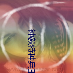 钟毅特种兵王抗日