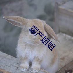 国产姐姐 （试想）