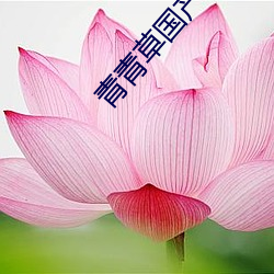 青(青)青草(草)国产午夜精(精)品直播