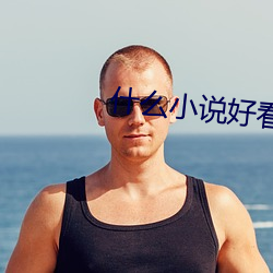 什么小说好看(看)