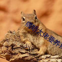 病娇大佬要养我 （钻头）