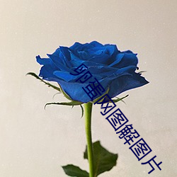 vwinӮ(й) - ٷվ