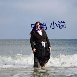 兄弟 小說