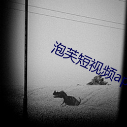 泡芙短视频(pín)app无限观看