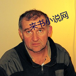 来书小说(說)网