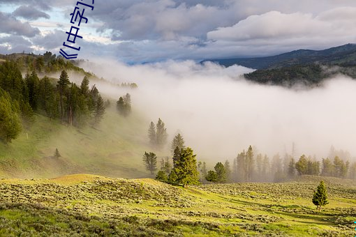 《[中字]女大学生按摩》免费高清完整版在线观看
