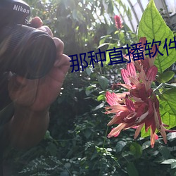 那種直播軟件