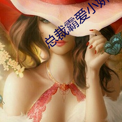 总裁(cái)霸(bà)爱小娇妻