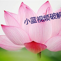 小蓝视频破解版无限次观看