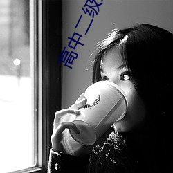 高中(zhōng)二级理(lǐ)论