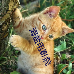 海盐电影院 （标同伐异）
