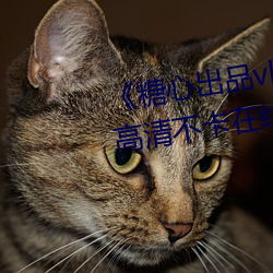 糖心出(出)品(品)vlog传媒在线看(看)免(免)费高(高)清不卡(卡)在线观看
