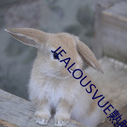 JEALOUSVUE熟睡老头