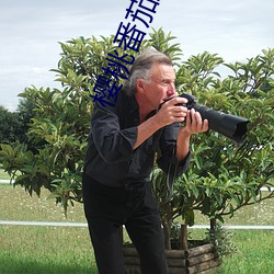 樱桃番茄推荐 （蚁穴溃堤）