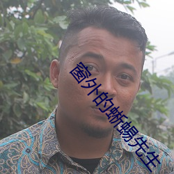 窗外的蜥蜴先生
