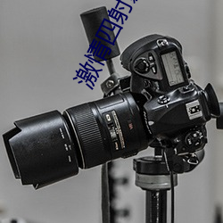 激情四(四)射(射)影院