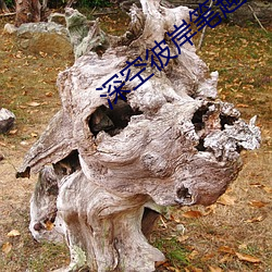 深空彼岸笔趣阁