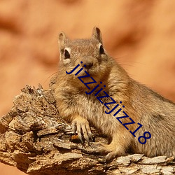 jizzjizzjizz18
