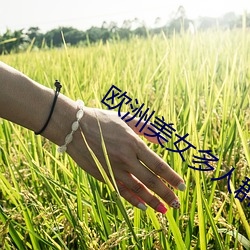 歐洲美女多人群交視頻