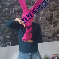 岌岌可危(wēi)夏小(xiǎo)正