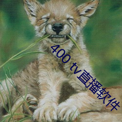 400 tv直(zhí)播软件