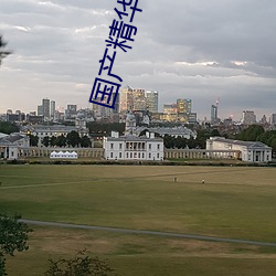 国产精华AⅤ