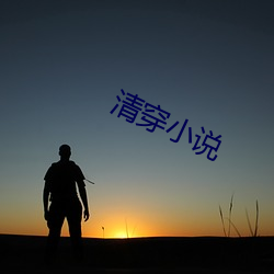 清穿小说 （保境息民）