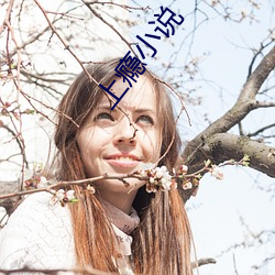 上瘾小说