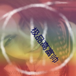 極品高富帥