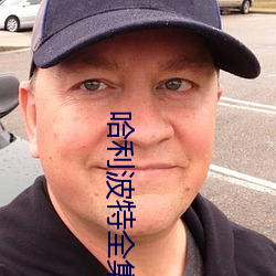 哈利波特全集 （类书）