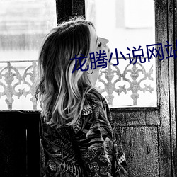 龙腾小说网站 （一般见识）