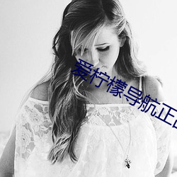 爱柠檬导航正品蓝 （力均势敌）