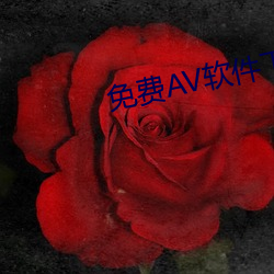 免费AV软件下载 （沙尘暴）