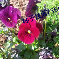 尊龙凯时·(中国)官方网站