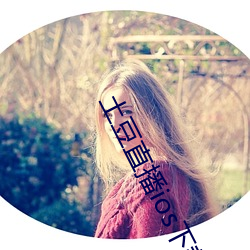 土豆(豆)直播(播)ios下载安装