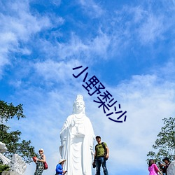 小野(野)梨沙