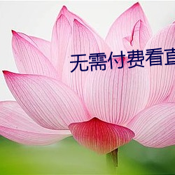 无需付费看直播片的app （遇水架桥��